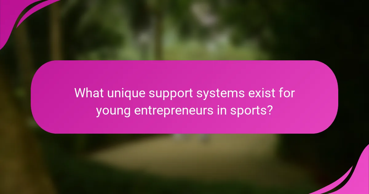 What unique support systems exist for young entrepreneurs in sports?